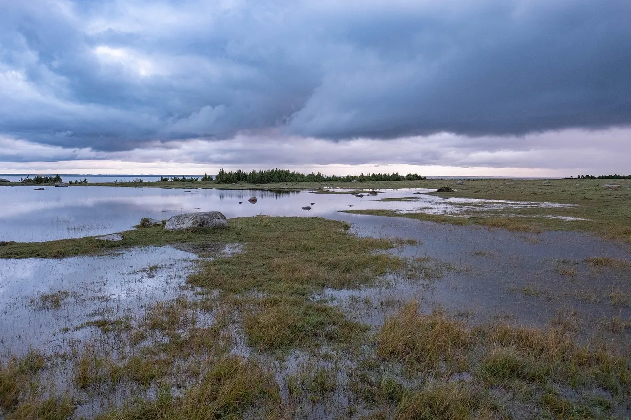 論文「超軟弱地盤（沼地）対策のための高規格連結土のう工法」